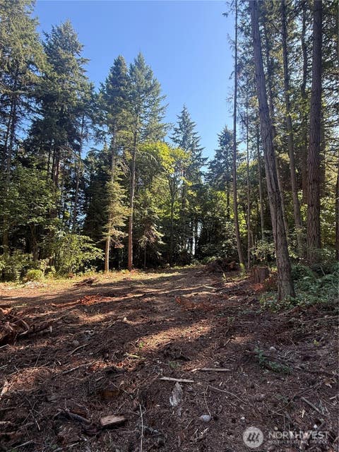 Photo of 9998 NE Lofgren Road, Bainbridge Island, WA 98110 (MLS # 2567844)