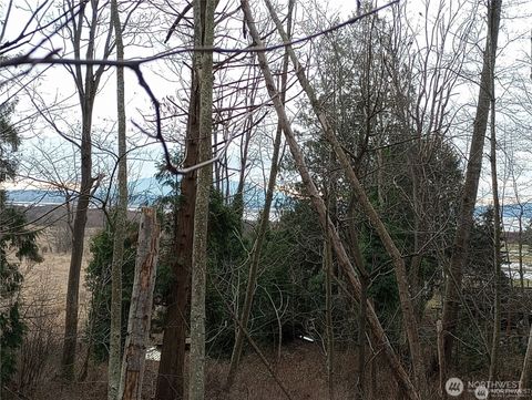 Photo of 0 Red River Road, Ferndale, WA 98248 (MLS # 2348264)