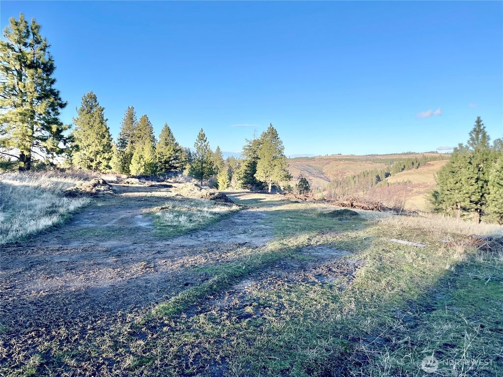 Photo of 0 Lewis Peak, Dixie, WA 99329 (MLS # 2476437)