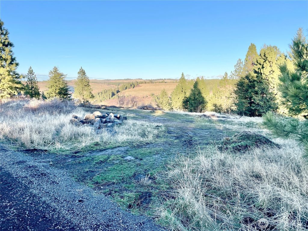Photo of 0 Lewis Peak, Dixie, WA 99329 (MLS # 2476437)