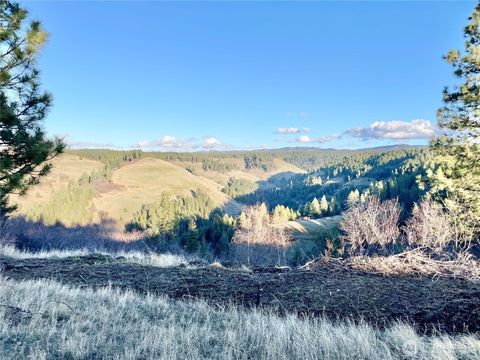 Photo of 0 Lewis Peak, Dixie, WA 99329 (MLS # 2476437)
