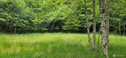 Photo of 2356 Deer Park Road, Port Angeles, WA 98326 (MLS # 2533244)
