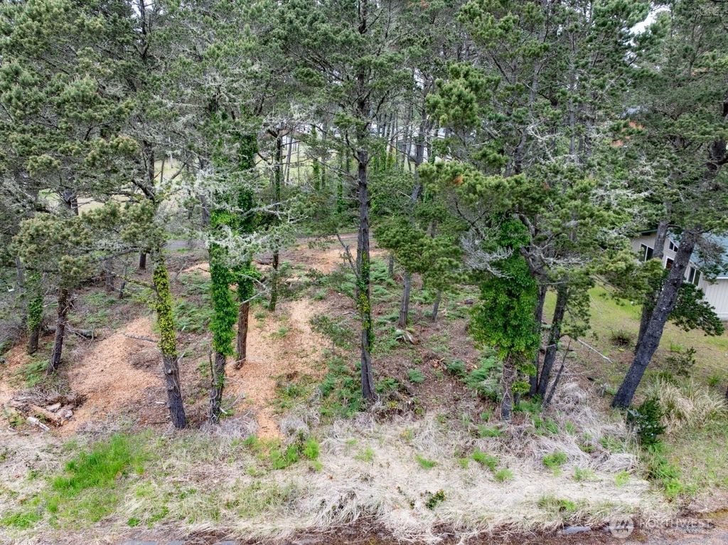 Photo of 0 213th Place, Ocean Park, WA 98640 (MLS # 2523842)