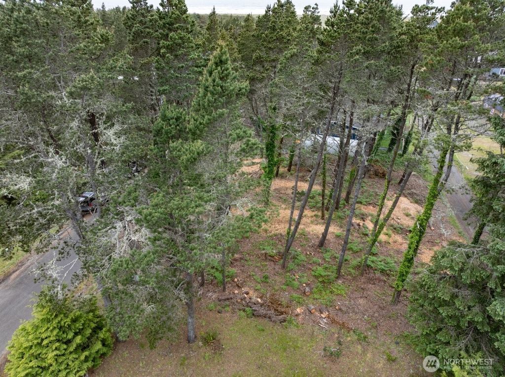 Photo of 0 213th Place, Ocean Park, WA 98640 (MLS # 2523842)
