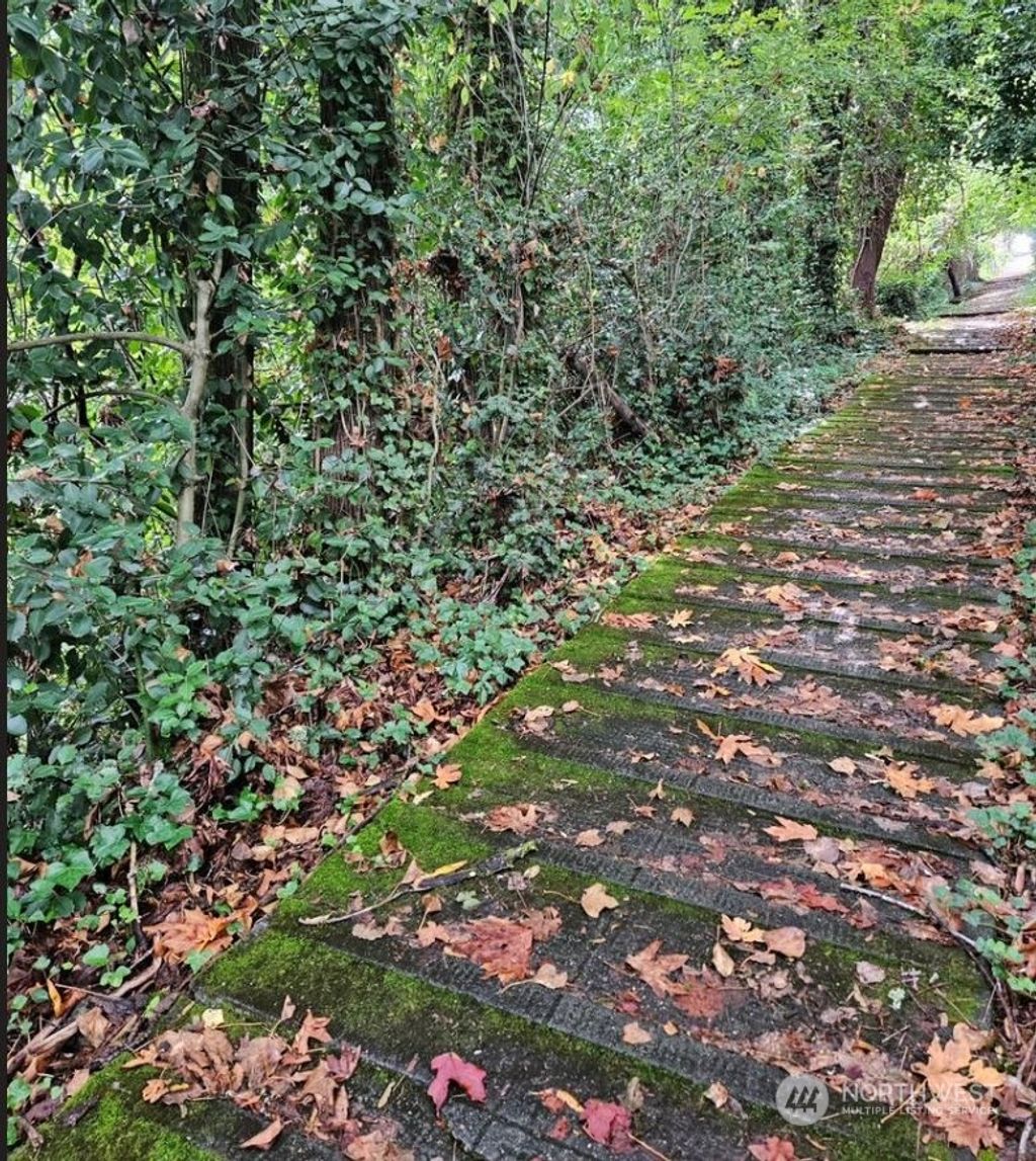 Photo of 6129 S Pilgrim Street, Seattle, WA 98118 (MLS # 2298921)