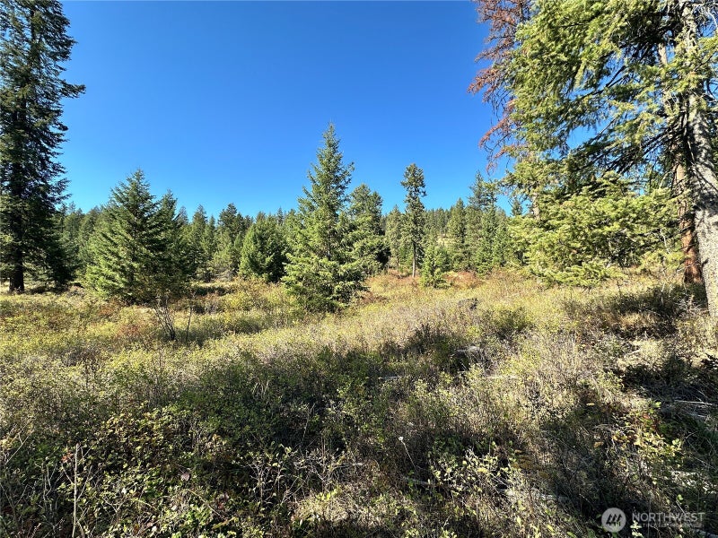 1 Lot 1 Deadman Creek Rd