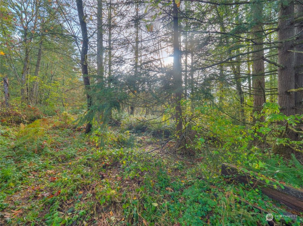 Photo of 30123 SE 398th Street, Enumclaw, WA 98022 (MLS # 2307521)