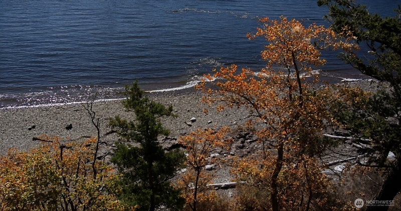 10405 Samish Island Road