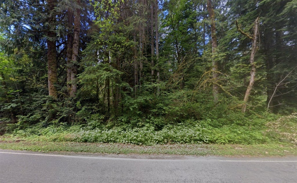 Photo of 220 S Lake Roesiger Road, Snohomish, WA 98290 (MLS # 2599747)