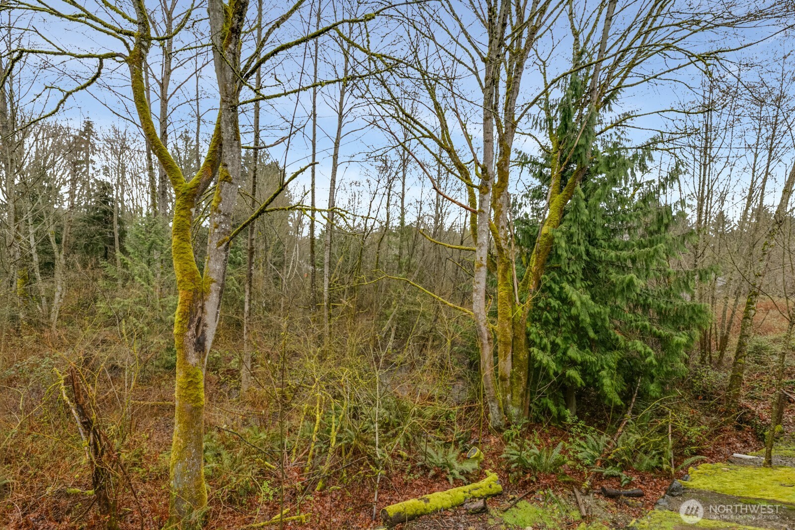 18930 Bothell-Everett Highway T-101