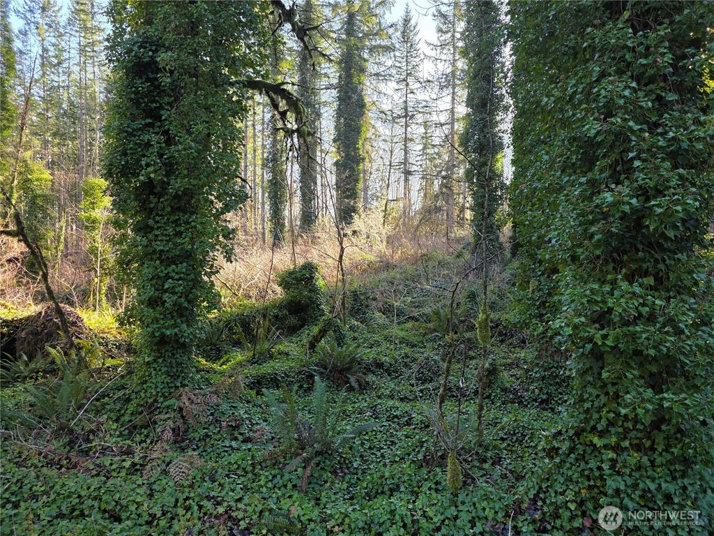 Photo of 73 XX 226th Avenue NE #1, Granite Falls, WA 98252 (MLS # 2573764)