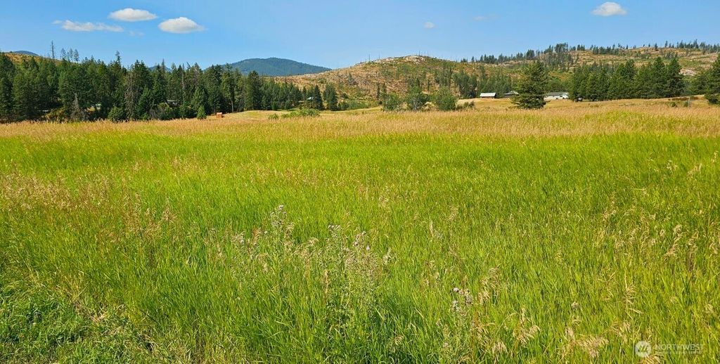 Photo of 1041 Ward Way, Colville, WA 99114 (MLS # 2471384)