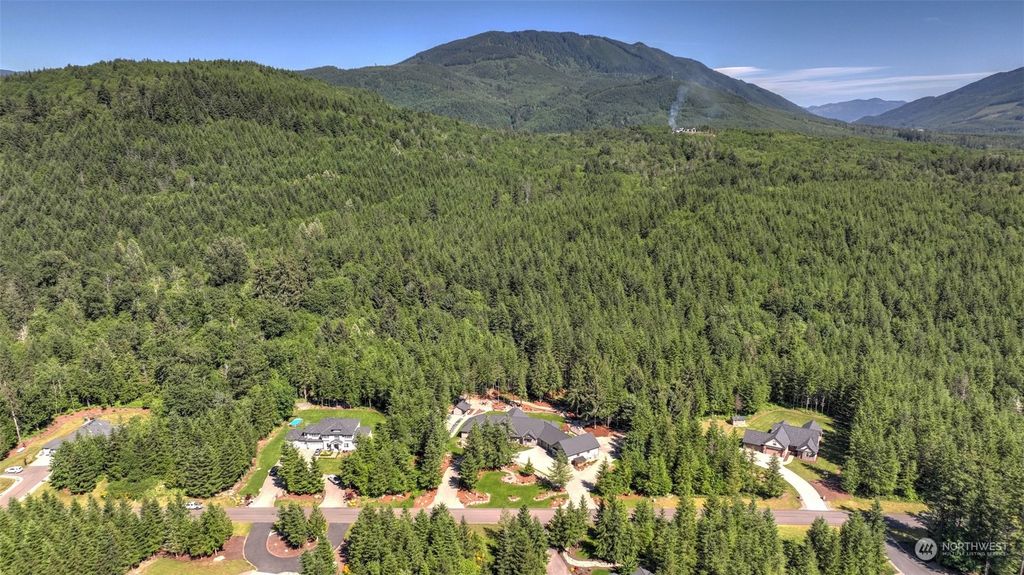 Photo of 28286 318th Drive SE, Ravensdale, WA 98051 (MLS # 2321335)