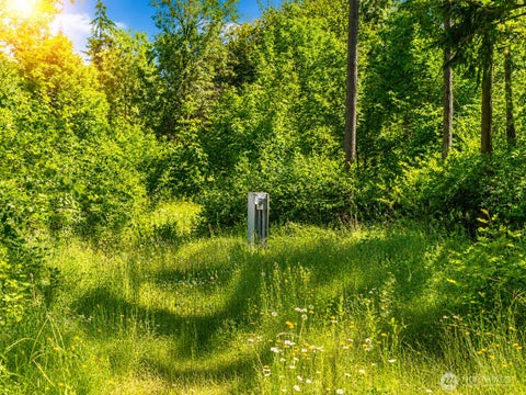 Photo of 19509 161st Way SE, Yelm, WA 98597 (MLS # 2543323)