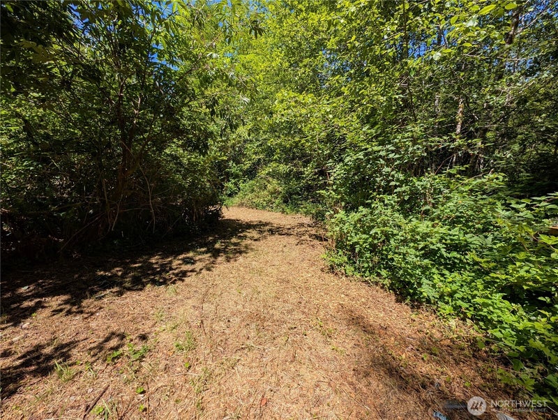 999 Hoh River Park Drive
