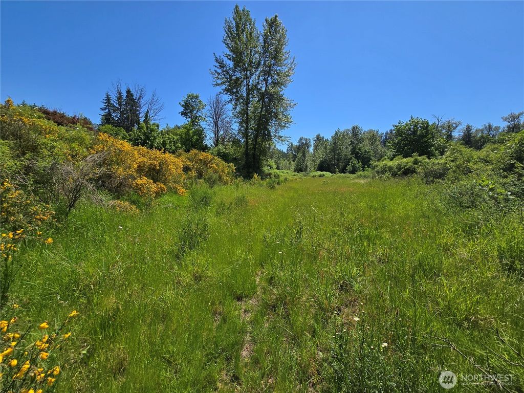 Photo of 212 XX SE 214th Street, Maple Valley, WA 98038 (MLS # 2382601)