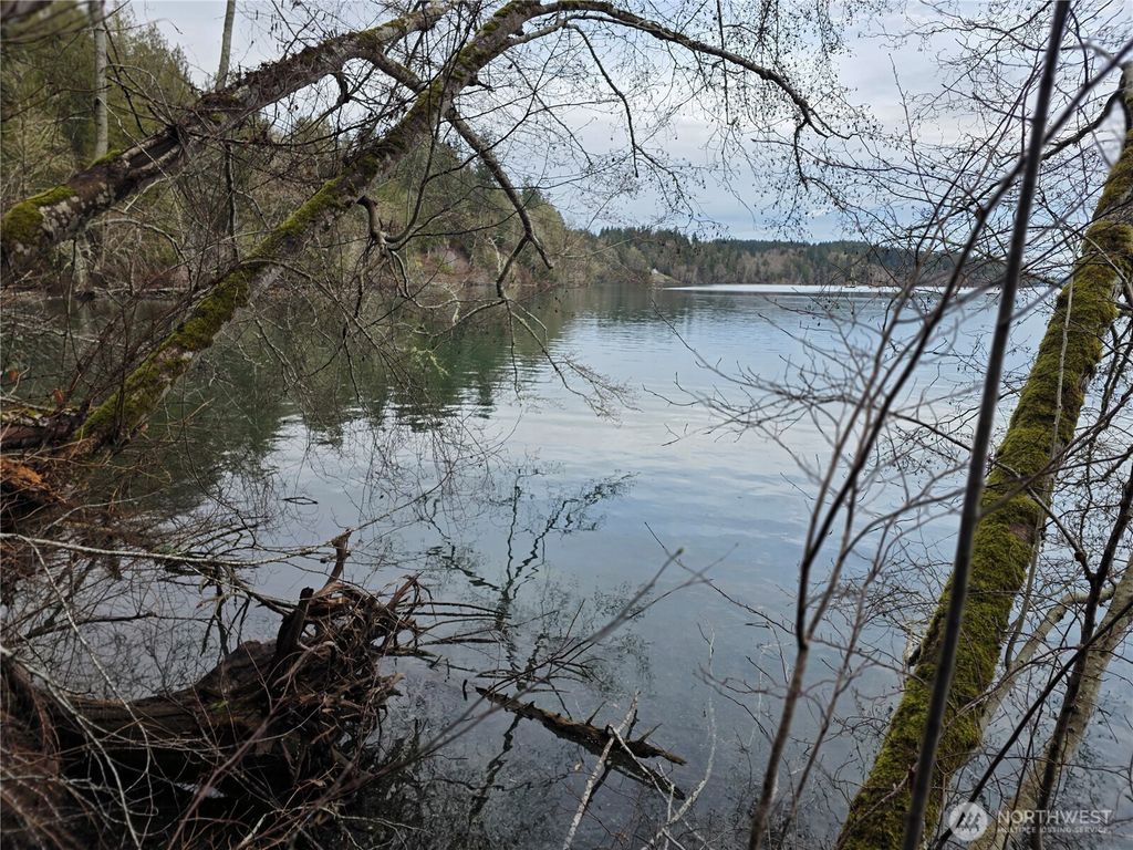 Photo of 101 E Harstine Heights Lane, Shelton, WA 98584 (MLS # 2475480)