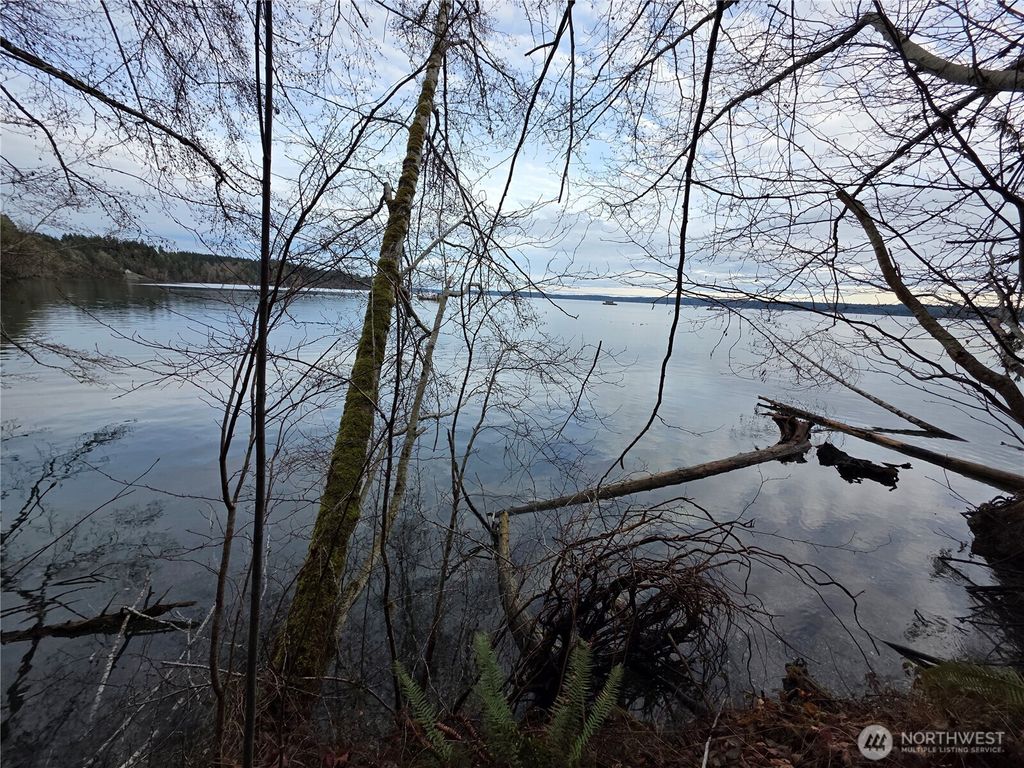 Photo of 101 E Harstine Heights Lane, Shelton, WA 98584 (MLS # 2475480)