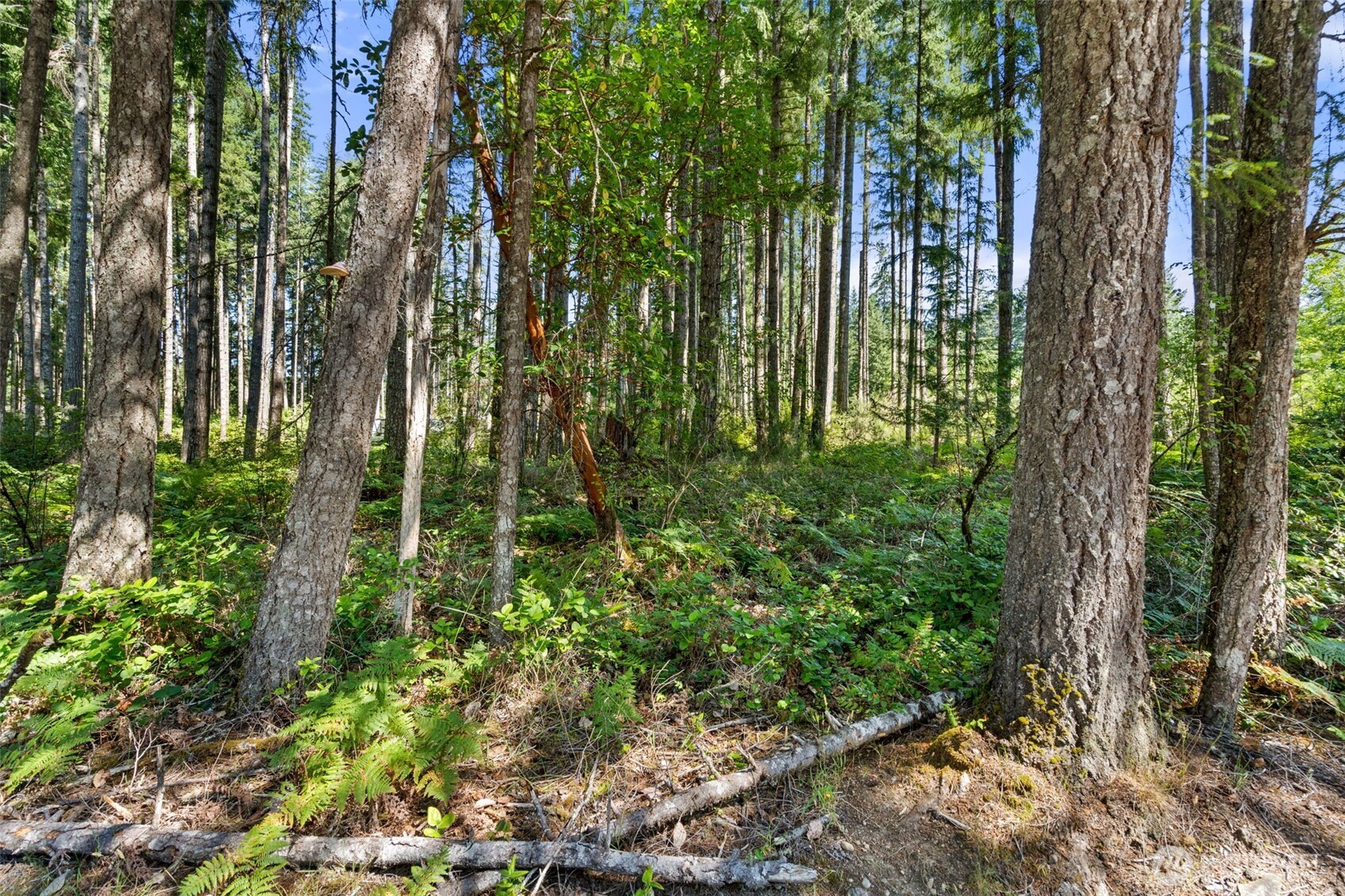 1030 E Phillips Lake Road