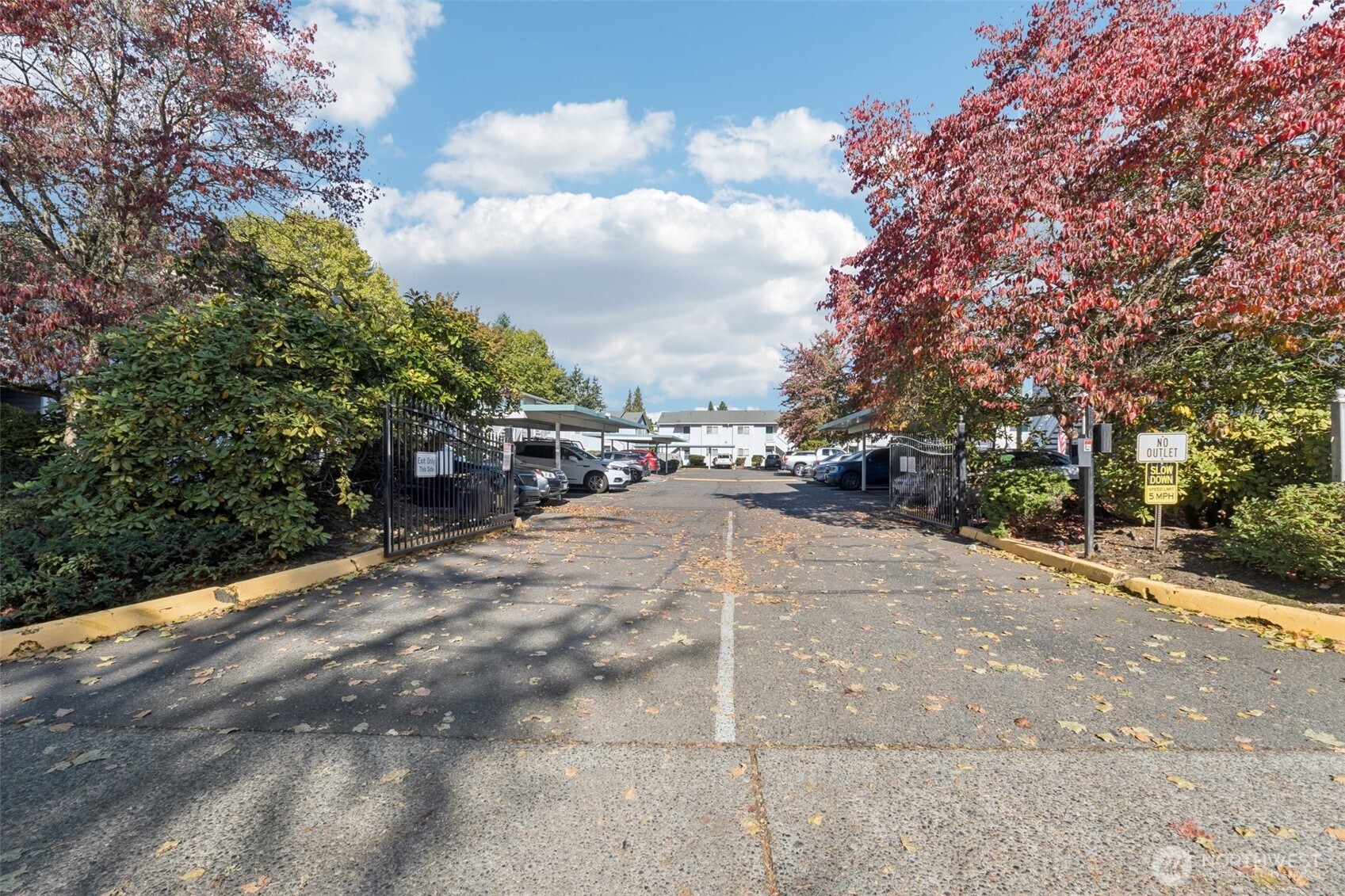 1101 37th Street SE 501