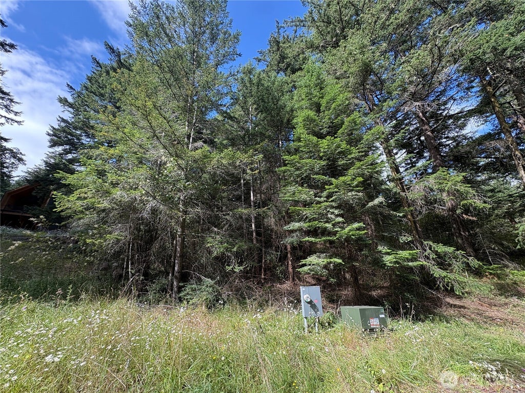 Photo of 0 XXX Rosario Road #Lot 14, Orcas Island, WA 98245 (MLS # 2548329)