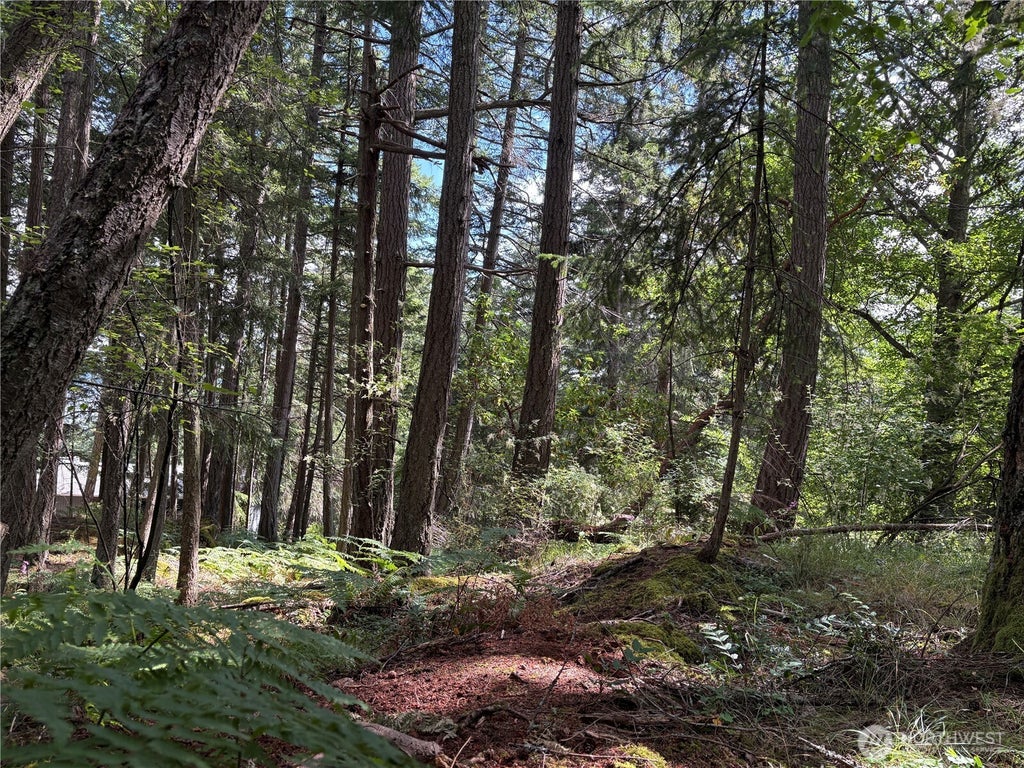 Photo of 0 XXX Rosario Road #Lot 14, Orcas Island, WA 98245 (MLS # 2548329)
