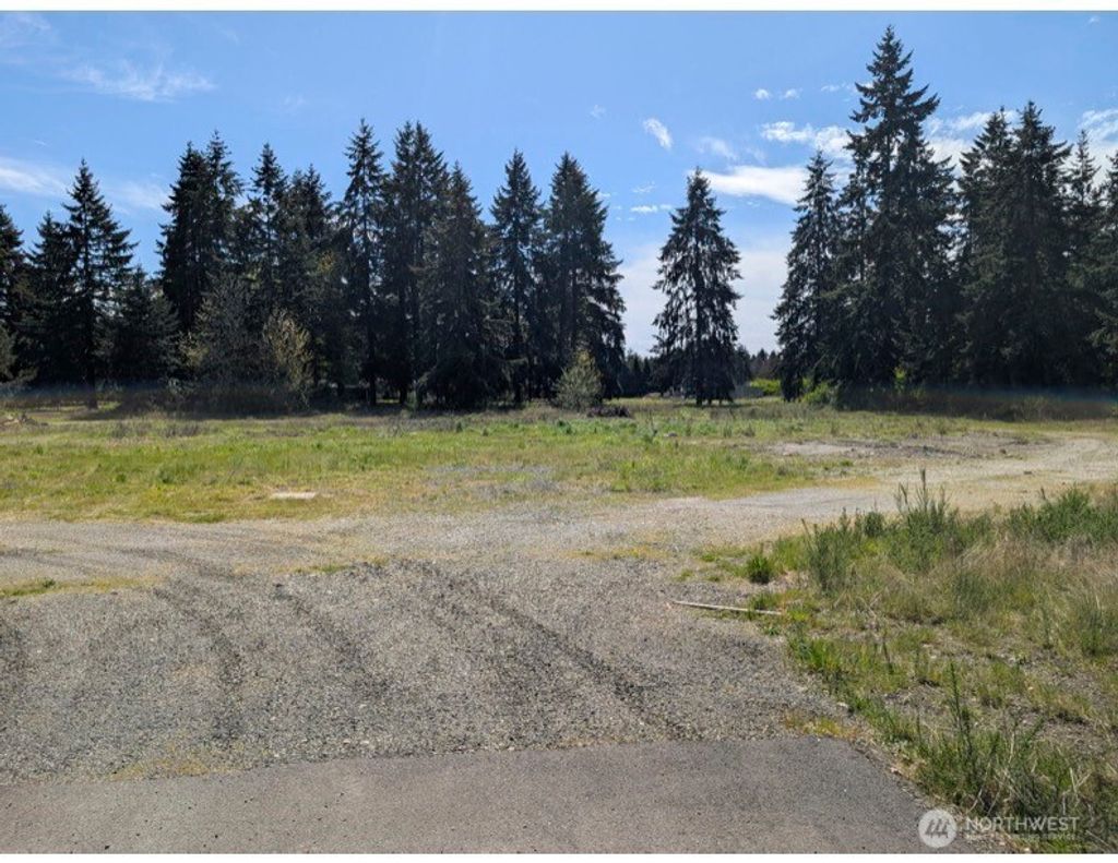 Photo of 9019 173rd Avenue SW, Rochester, WA 98579 (MLS # 2513428)