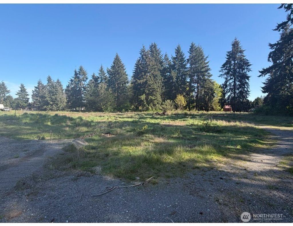 Photo of 9019 173rd Avenue SW, Rochester, WA 98579 (MLS # 2513428)