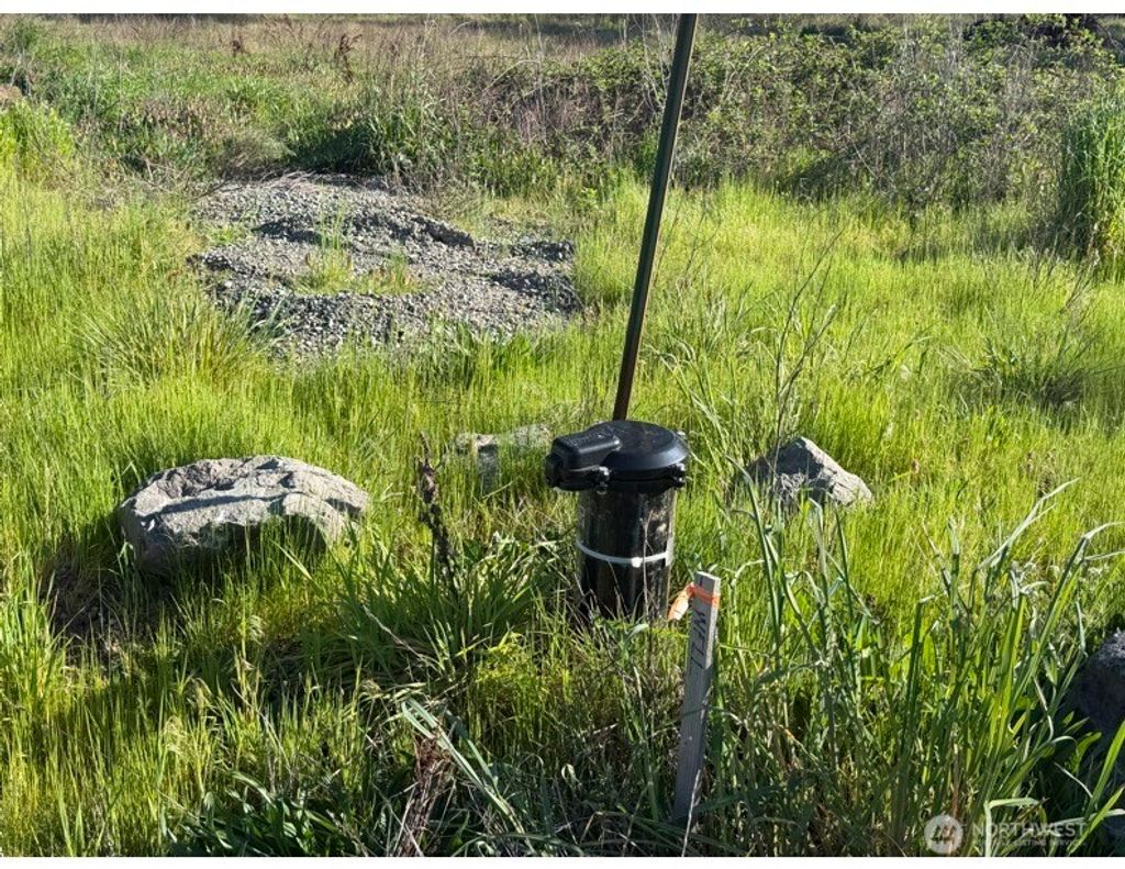 Photo of 9019 173rd Avenue SW, Rochester, WA 98579 (MLS # 2513428)