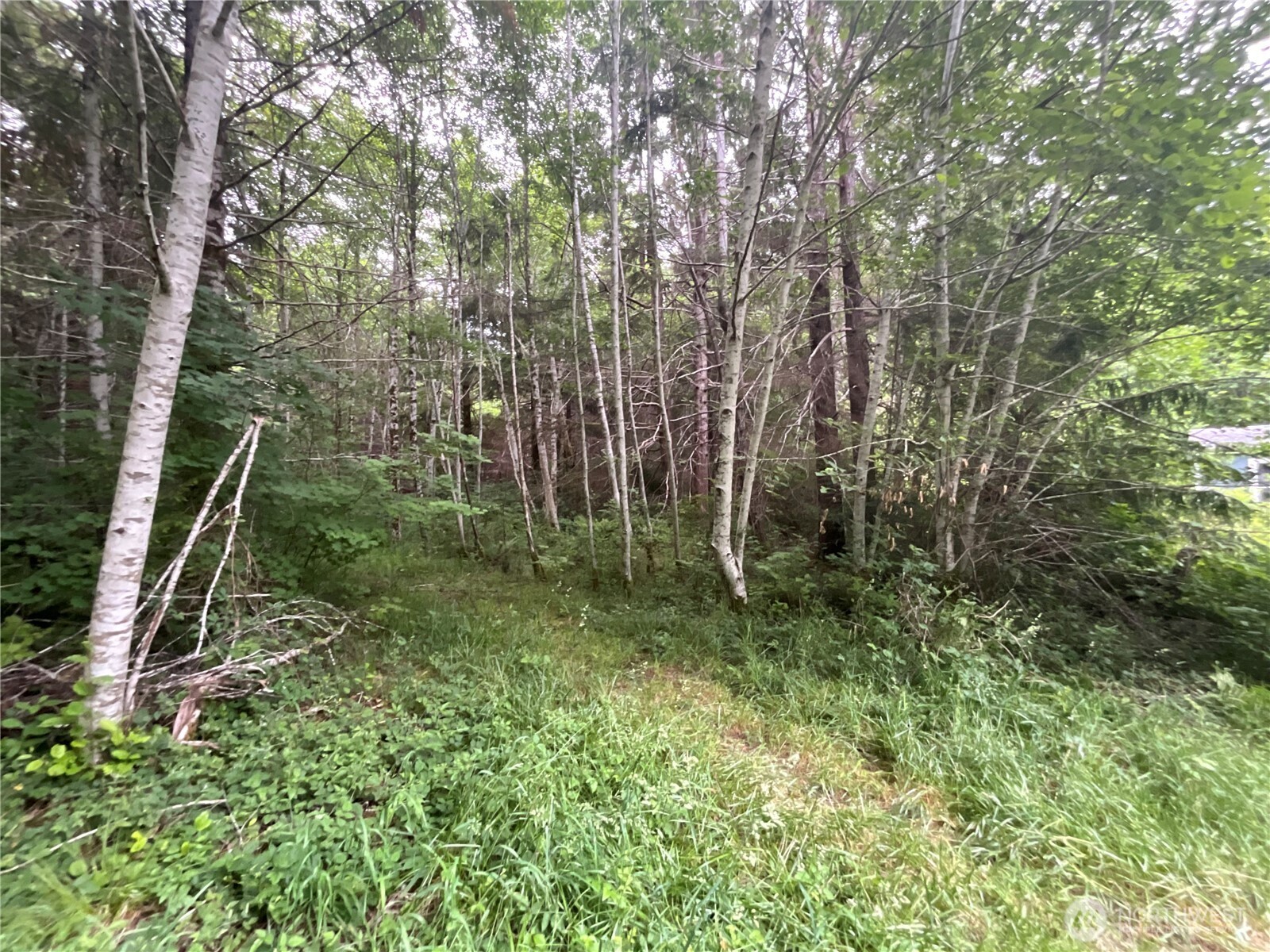 310 W Thunderbird Drive
