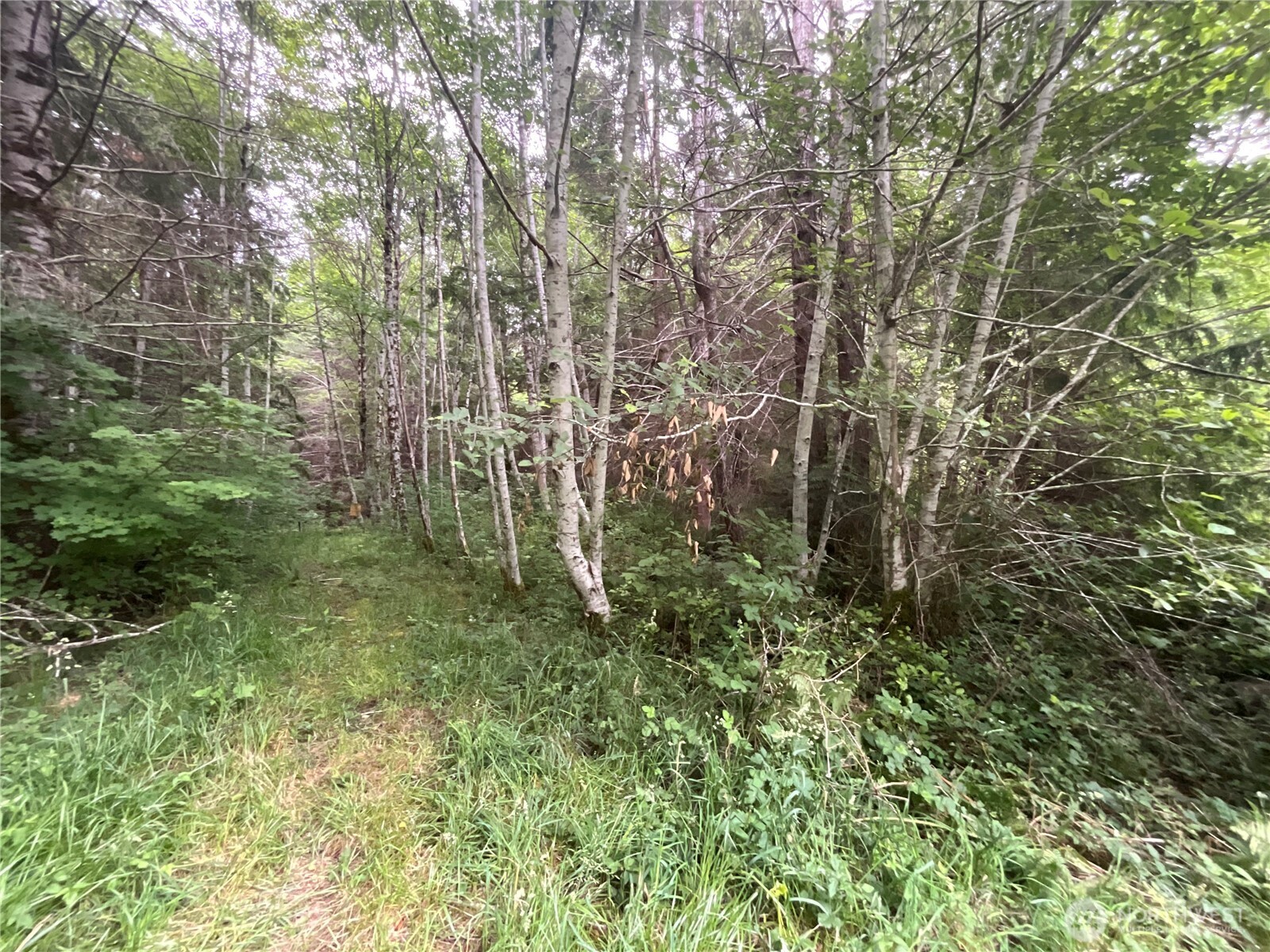 310 W Thunderbird Drive