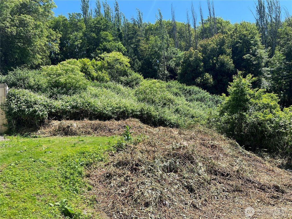 Photo of 79 XX Military Road S, Seattle, WA 98108 (MLS # 2381183)