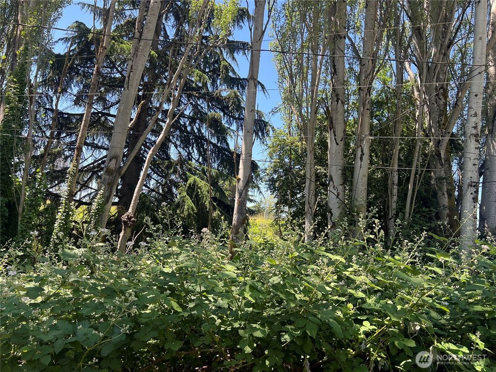 Photo of 79 XX Military Road S, Seattle, WA 98108 (MLS # 2381183)