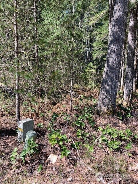 131 N Rainbow Way Hoodsport WA 98548