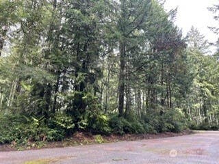 Photo of 11307 114th Street Ct, Anderson Island, WA 98303 (MLS # 2536721)