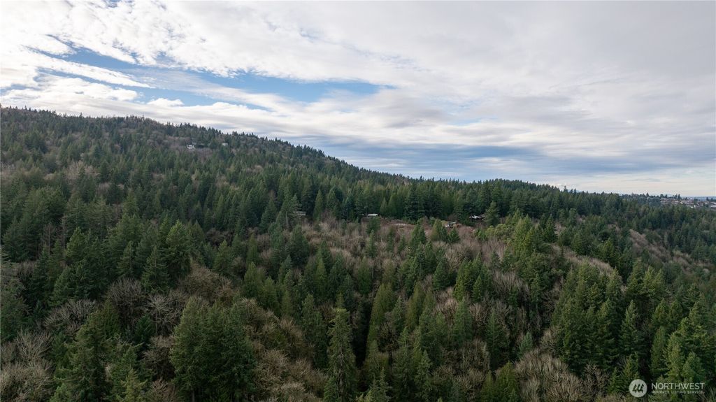 Photo of 190 XX SE 66th Street, Issaquah, WA 98027 (MLS # 2436427)