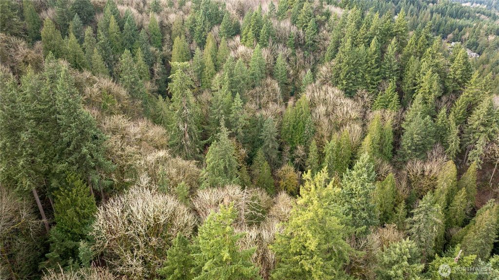 Photo of 190 XX SE 66th Street, Issaquah, WA 98027 (MLS # 2436427)