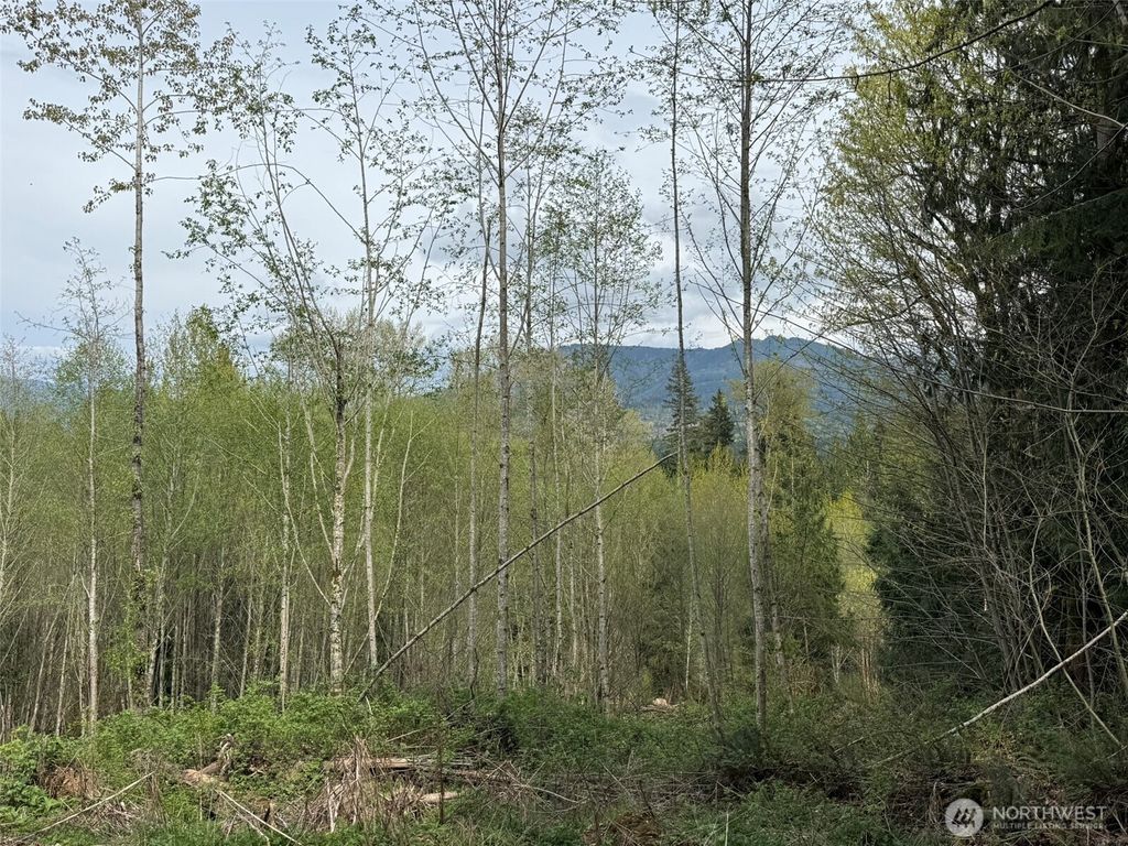 Photo of 33115 37th Avenue NE, Arlington, WA 98223 (MLS # 2508064)