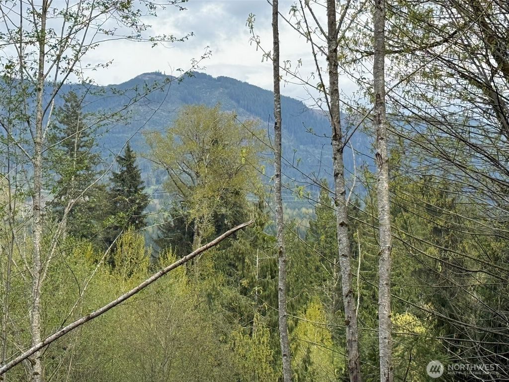 Photo of 33115 37th Avenue NE, Arlington, WA 98223 (MLS # 2508064)