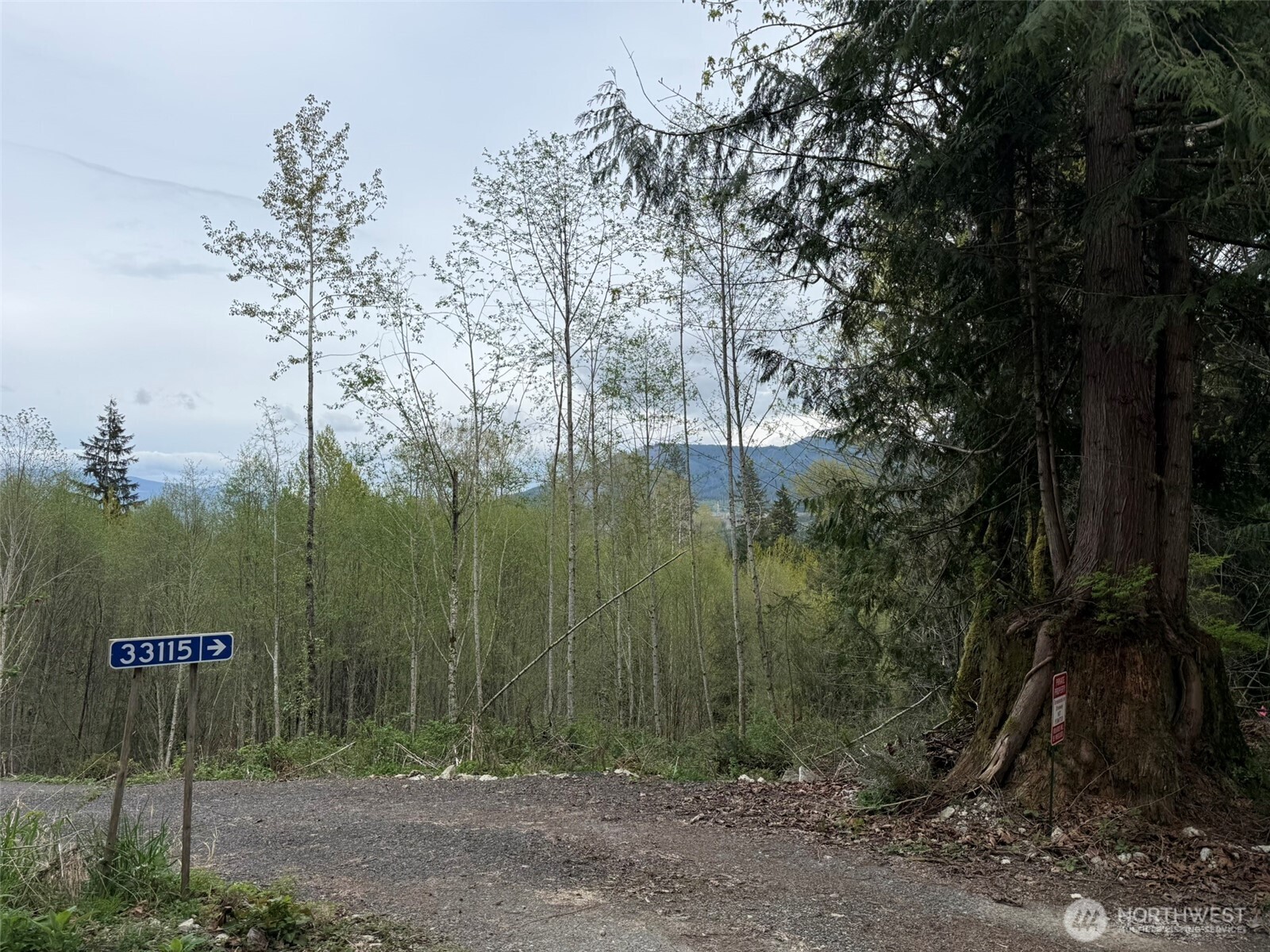 33115 37th Avenue NE