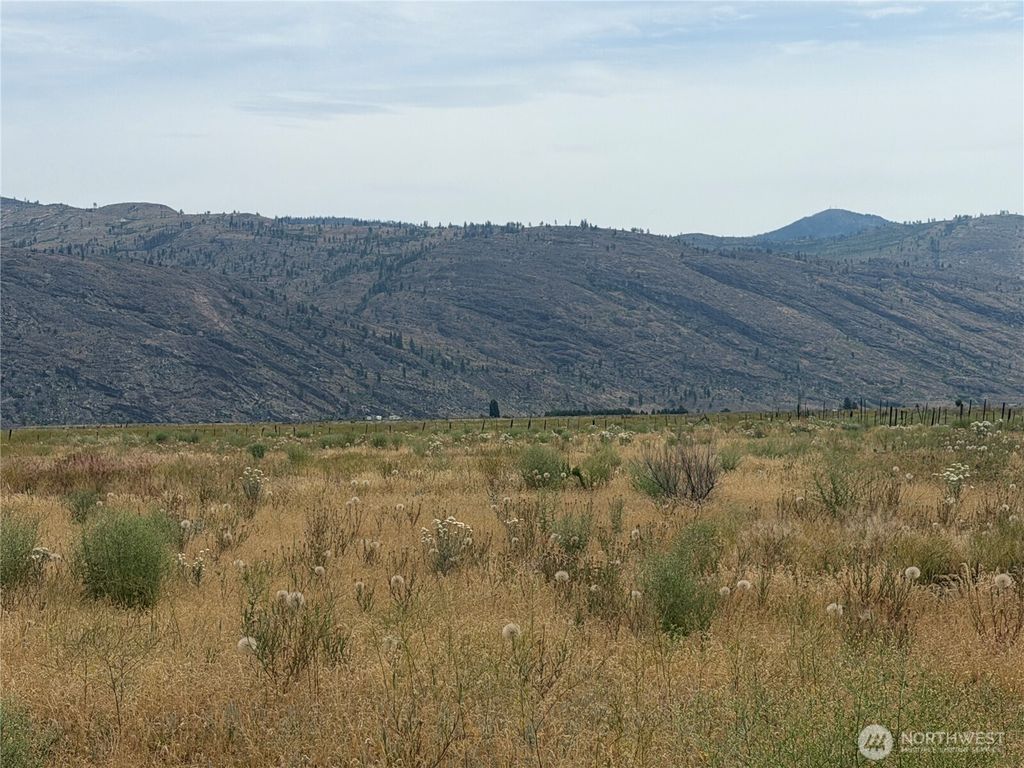 Photo of 152 Green Acres Road, Riverside, WA 98841 (MLS # 2540327)