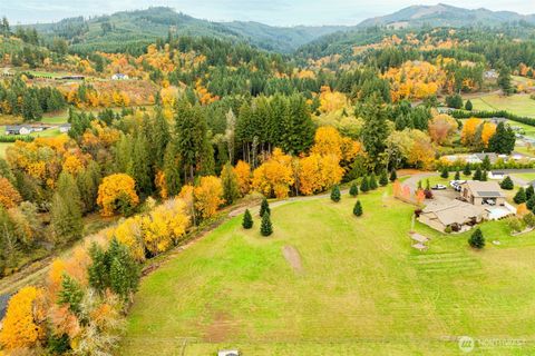 149 Glacier Lane Woodland WA 98674