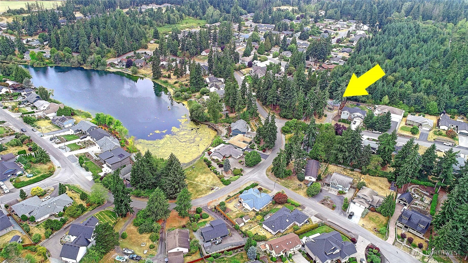 355 Selkirk Drive