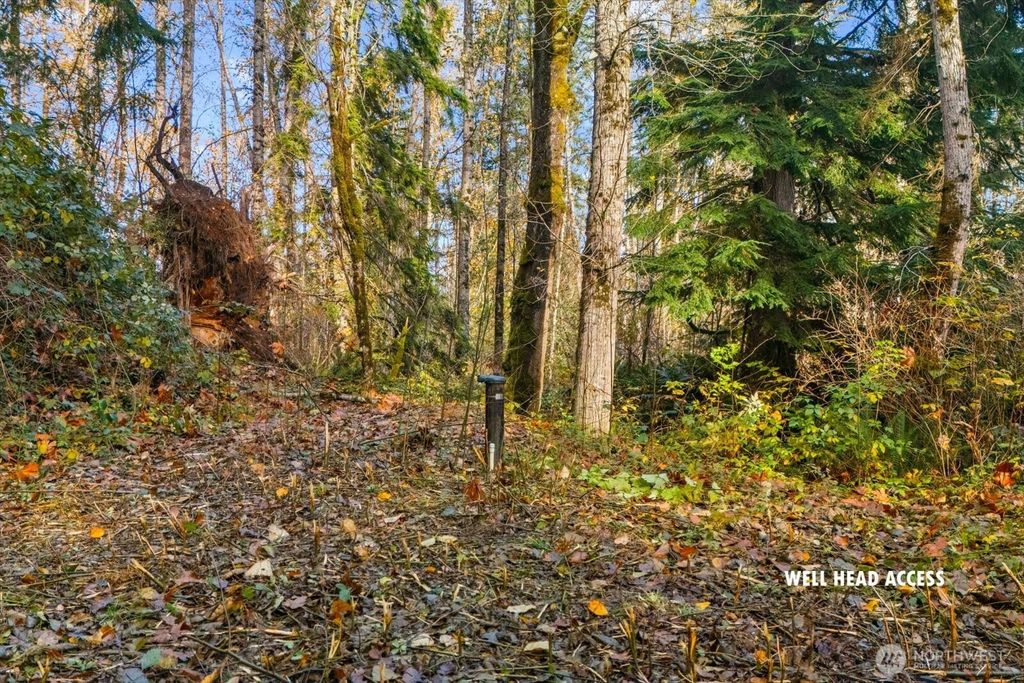 Photo of 15 xxx Brookside Place, Snohomish, WA 98290 (MLS # 2454867)