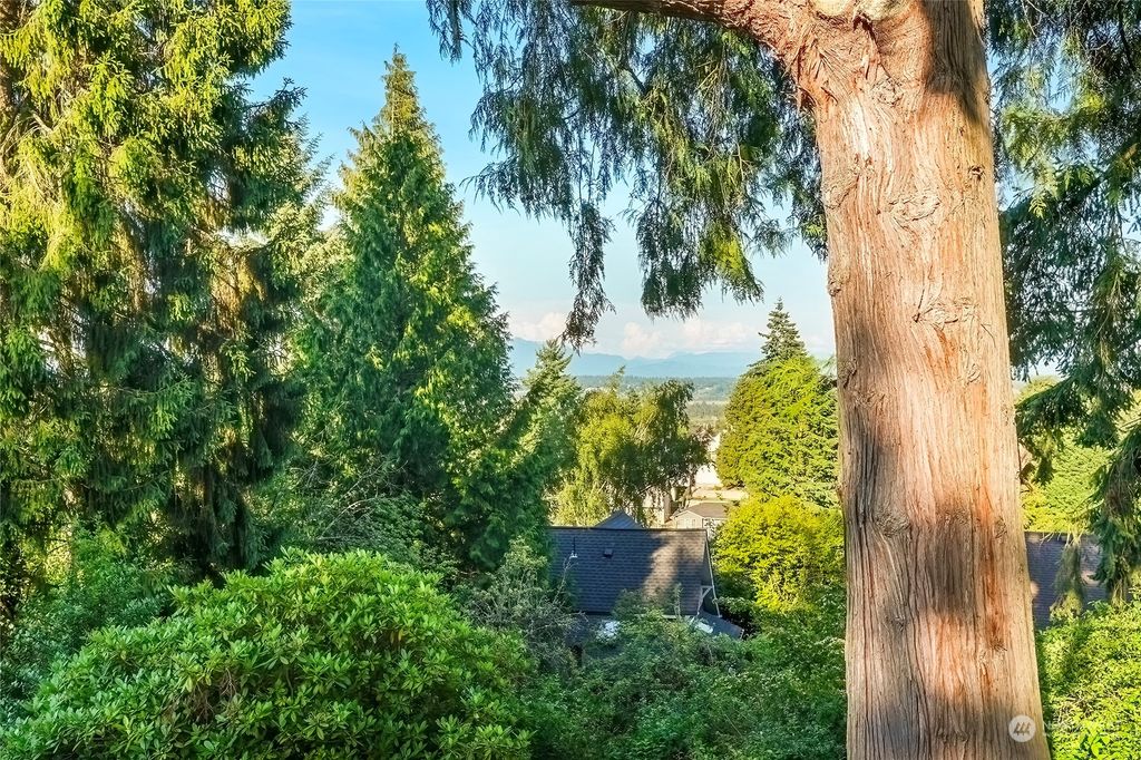 listing image 9360330263951686055