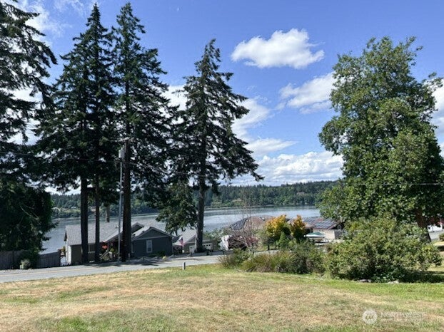 Photo of 10142 Steamboat Island Road NW, Olympia, WA 98502 (MLS # 2549773)