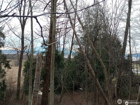 Photo of 0 Red River Road, Ferndale, WA 98248 (MLS # 2518778)