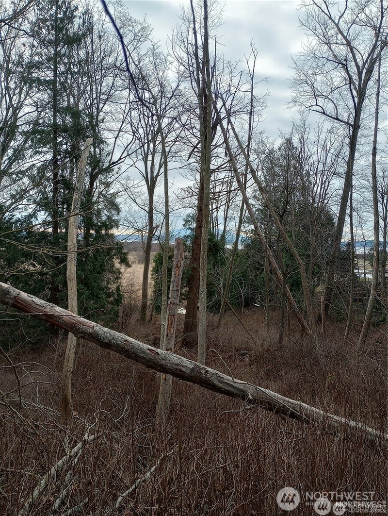 0 Red River Road
