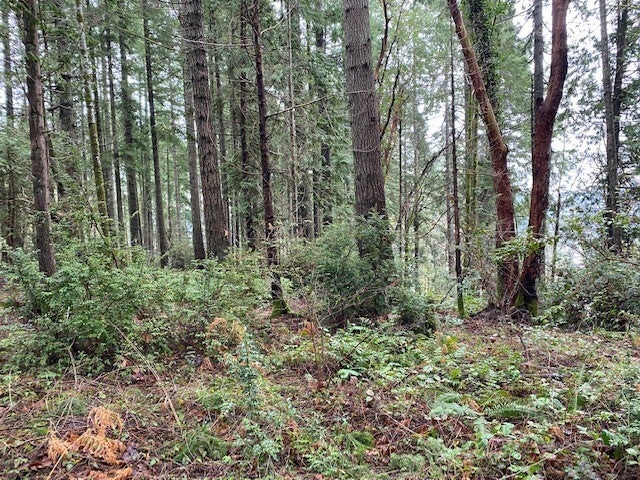 Photo of 0 Elk Street, Shelton, WA 98584 (MLS # 2598352)