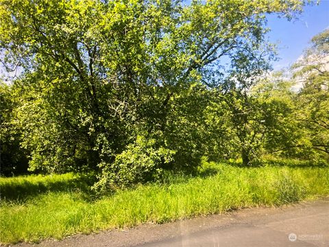 Photo of 0 South Bend Palix Rd, South Bend, WA 98586 (MLS # 2298608) Photo of 0 South Bend Palix Rd, South Bend, WA 98586 (MLS # 2298608)